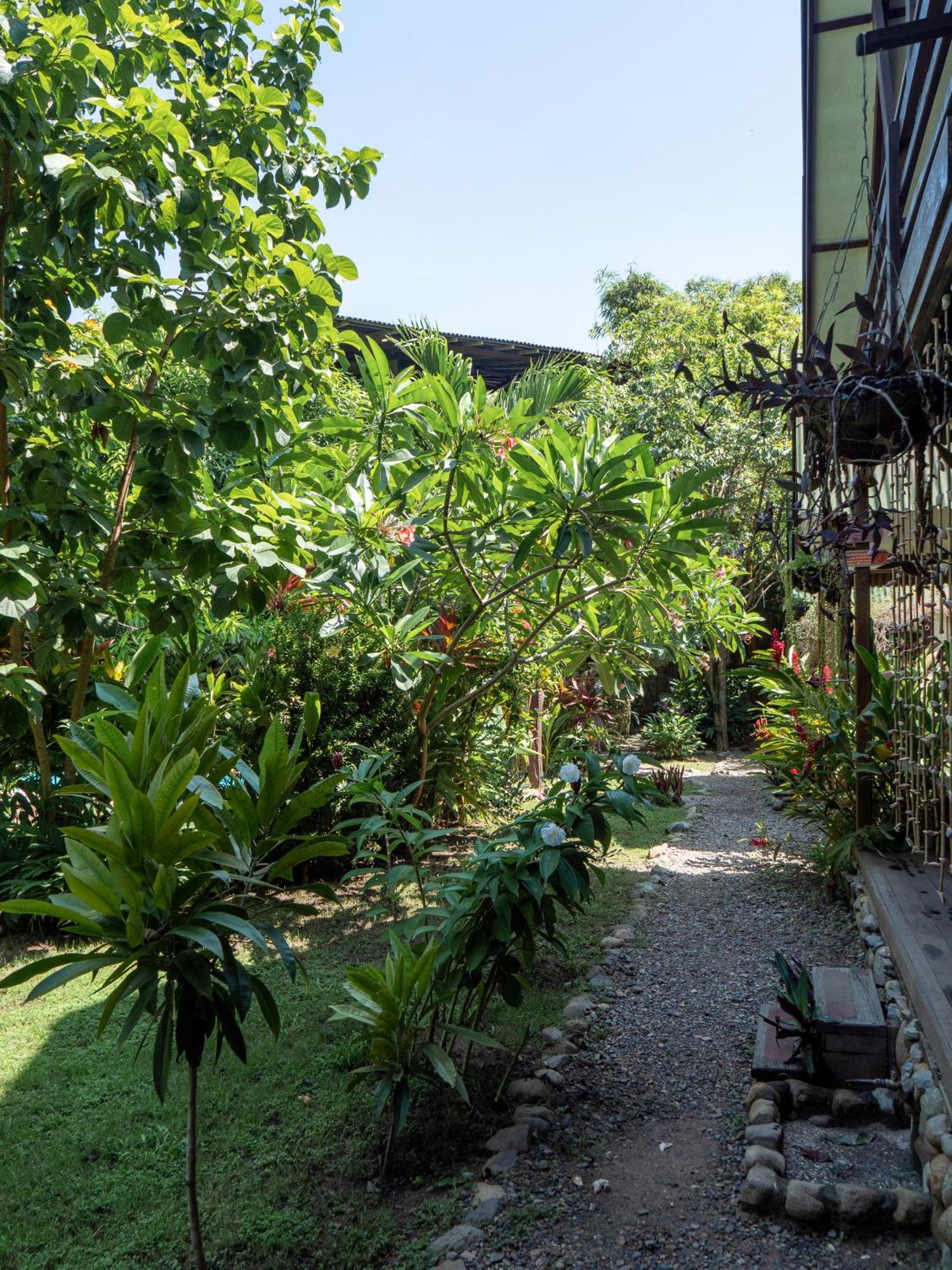 Nuba Boutique Hostel Palomino Exteriér fotografie