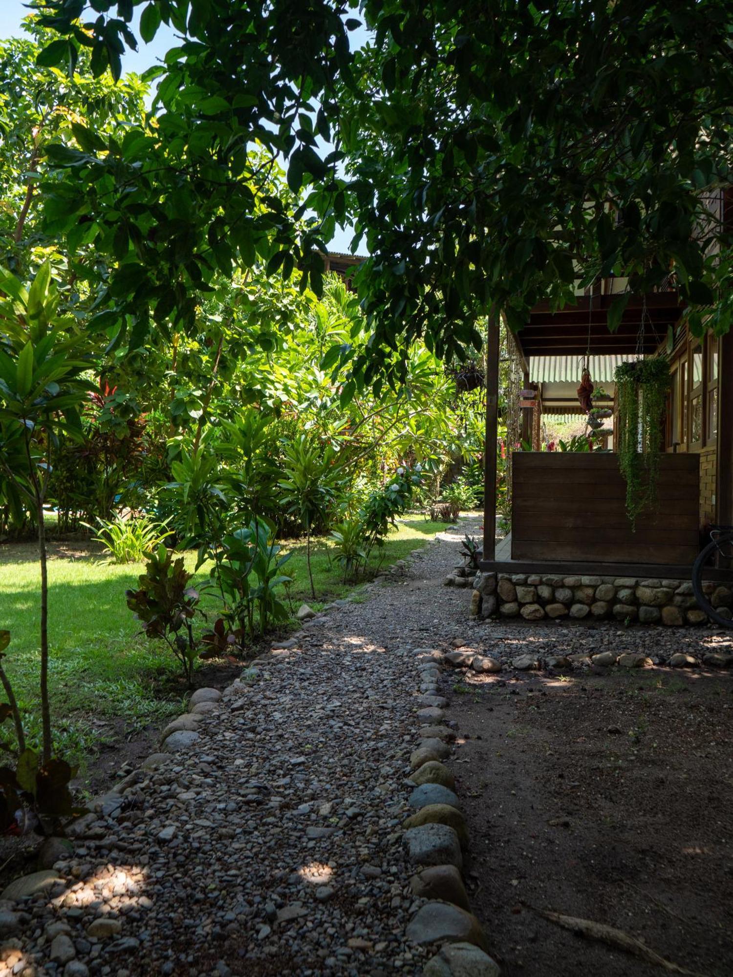 Nuba Boutique Hostel Palomino Exteriér fotografie