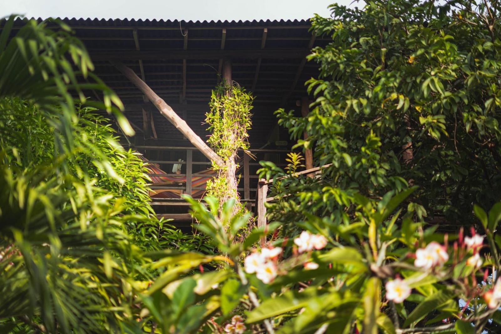 Nuba Boutique Hostel Palomino Exteriér fotografie